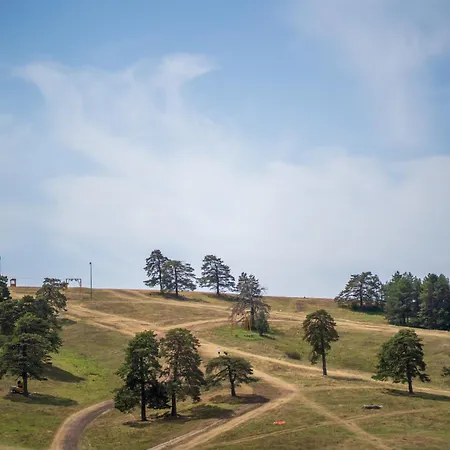 Gold Kalman * Zlatibor